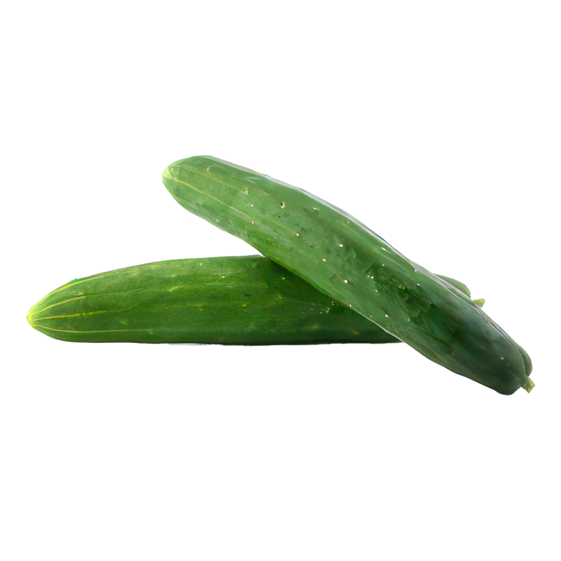 Japanese Cucumber